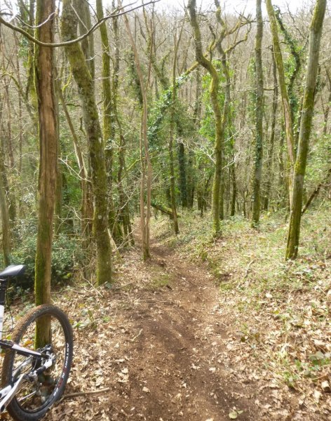 Rando VTT MIRIBEL COTIERE le 12-03-2017